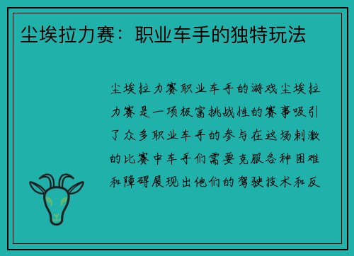 尘埃拉力赛：职业车手的独特玩法